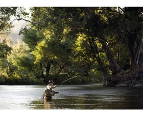 Fly Fishing Tumut - South Australia Travel 1