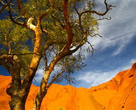 The Artery Aboriginal Art - South Australia Travel 2