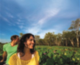 AAT Kings Guided Tours (Top End) - South Australia Travel 3