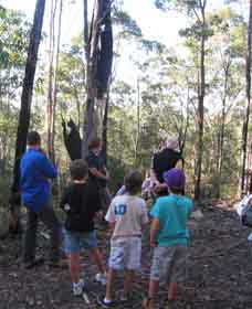 Boronia Tours - South Australia Travel 1
