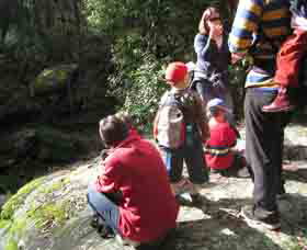 Boronia Tours - South Australia Travel 2