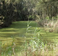 Second Ponds Creek walk - South Australia Travel