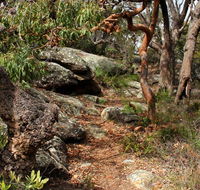Box Head track - South Australia Travel