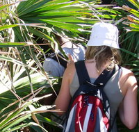 Palm Jungle loop track - South Australia Travel