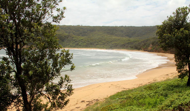 Picketts Valley NSW South Australia Travel