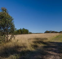 Scheyville horse riding trails - South Australia Travel
