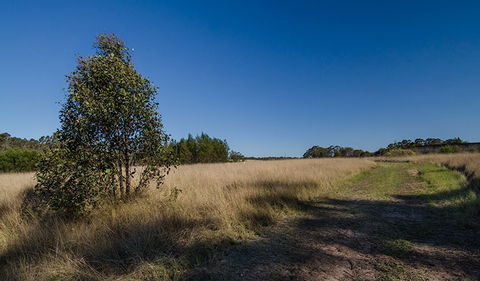 Scheyville Horse Riding Trails - South Australia Travel 0