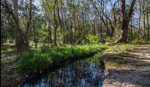 Scheyville Horse Riding Trails - South Australia Travel 2