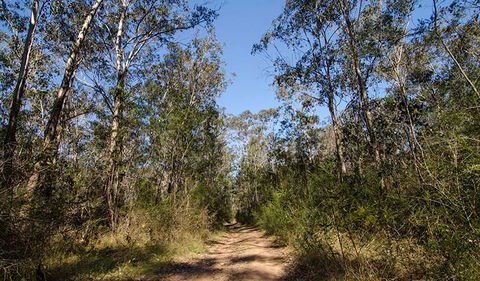 Scheyville Horse Riding Trails - South Australia Travel 3
