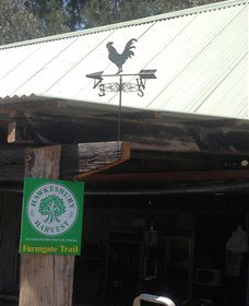 Canoelands Orchard - South Australia Travel 3