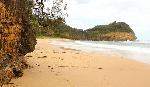 Bouddi Coastal Walk - South Australia Travel 1
