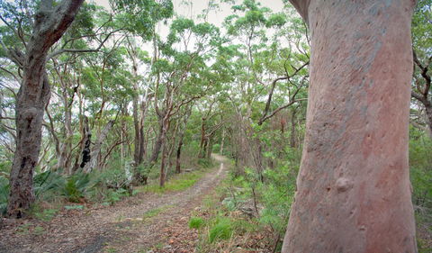 Strom Loop - South Australia Travel 3