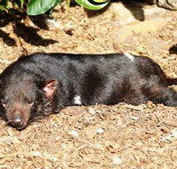 Symbio Wildlife Park - South Australia Travel