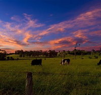 Made in Macarthur Food and Wine Tours - South Australia Travel