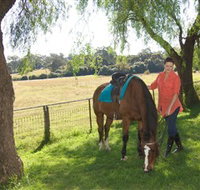 Sugarloaf Horse Centre - South Australia Travel