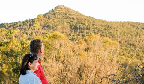 Piles Creek Loop - South Australia Travel 0