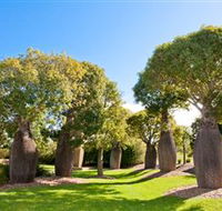 Mt Penang Gardens - South Australia Travel
