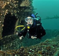 Ex-Hmas Adelaide Dive Site - South Australia Travel