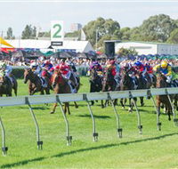 Morphettville Racecourse - South Australia Travel