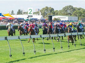 Morphettville Racecourse - South Australia Travel 0