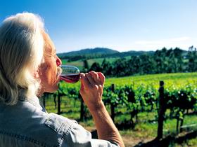 Ashton Hills Vineyard - South Australia Travel 0