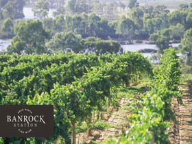 Banrock Station Wine And Wetland Centre - South Australia Travel 0