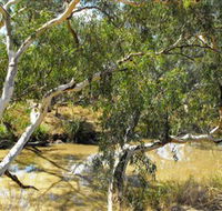 Quilberry Creek Fishing - South Australia Travel