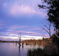 Loch Luna Game Reserve and Moorook Game Reserve - South Australia Travel