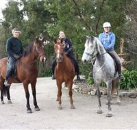 Academy of Dressage - South Australia Travel