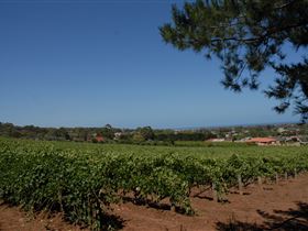 Grancari - South Australia Travel 0