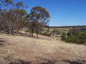 Onkaparinga River National Park - South Australia Travel 0