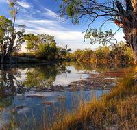 Murray River National Park - South Australia Travel