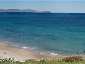Carrickalinga Beach - South Australia Travel 1