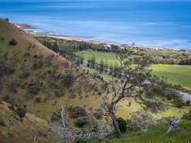 Lady Bay Beach - South Australia Travel 1