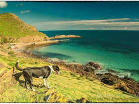 Second Valley Beach - South Australia Travel 1