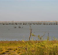 Lake Victoria - South Australia Travel