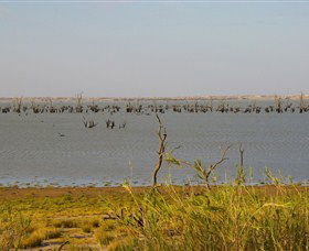 Lake Victoria - South Australia Travel 0