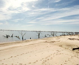 Lake Victoria - South Australia Travel 1