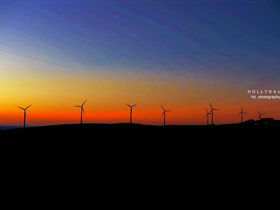 Starfish Hill Windfarm - South Australia Travel 0
