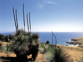 Deep Creek Conservation Park - South Australia Travel 2