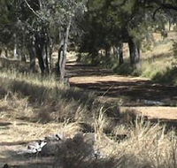 Chudleigh Park Gem Fields - South Australia Travel