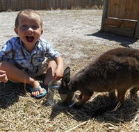Animal Farm Goolwa - South Australia Travel