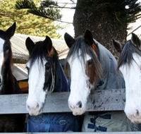 Victor Harbor Horse Drawn Tramway - South Australia Travel