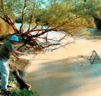 Charleville - Ward River Fishing Spot - South Australia Travel