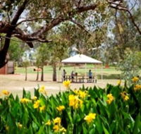 Charleville - Graham Andrews Parklands - South Australia Travel