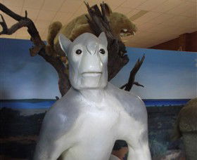 Wentworth Pioneer Museum - South Australia Travel 4