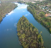 Sturt's Tree - South Australia Travel