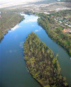 Sturt's Tree - South Australia Travel 0