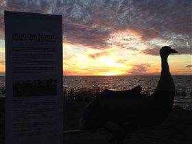 Meningie's Pelican Path - Yunti Ngopun Ngami - South Australia Travel 2