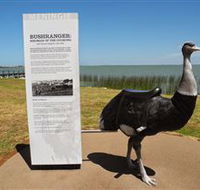 Birdman of the Coorong - South Australia Travel